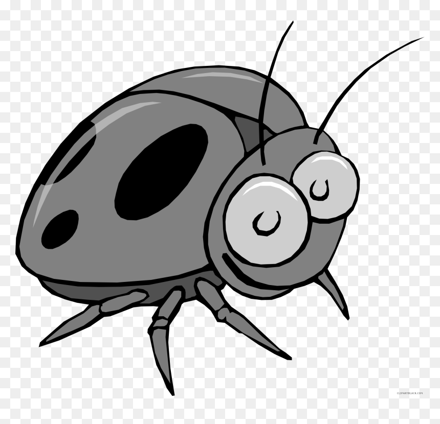 Beetle Clipart, HD Png Download - bed bug png