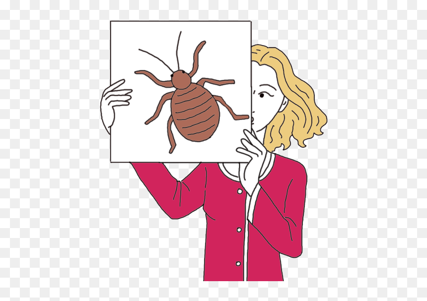 Illustration, HD Png Download - bed bug png