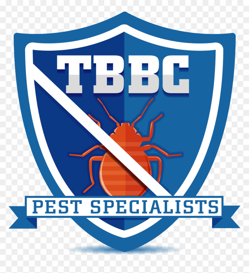 Clip Art, HD Png Download - bed bug png