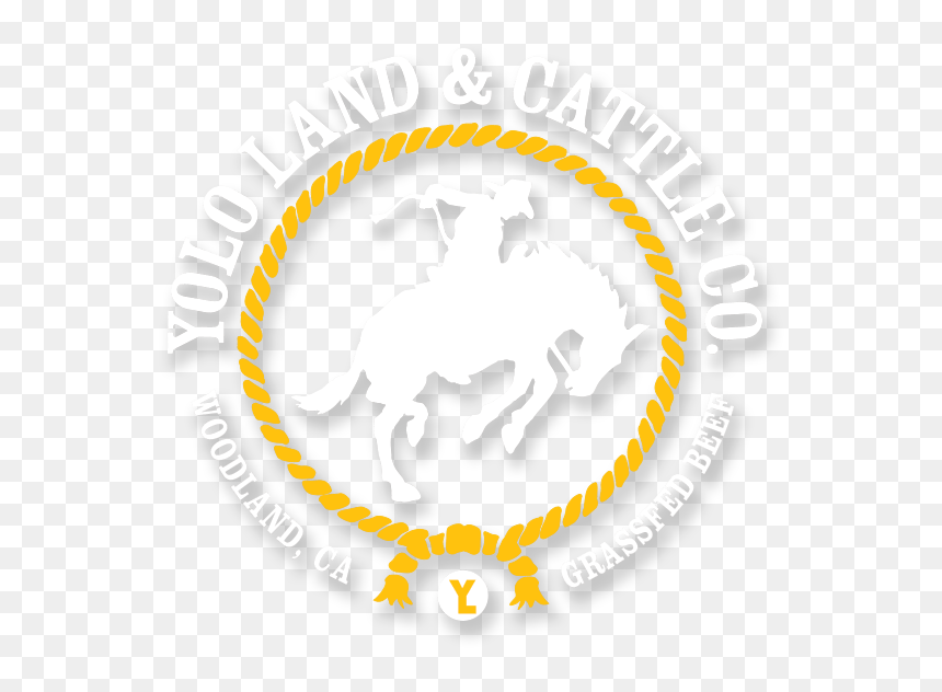 Us Naval Aviation Logo, HD Png Download - yolo png