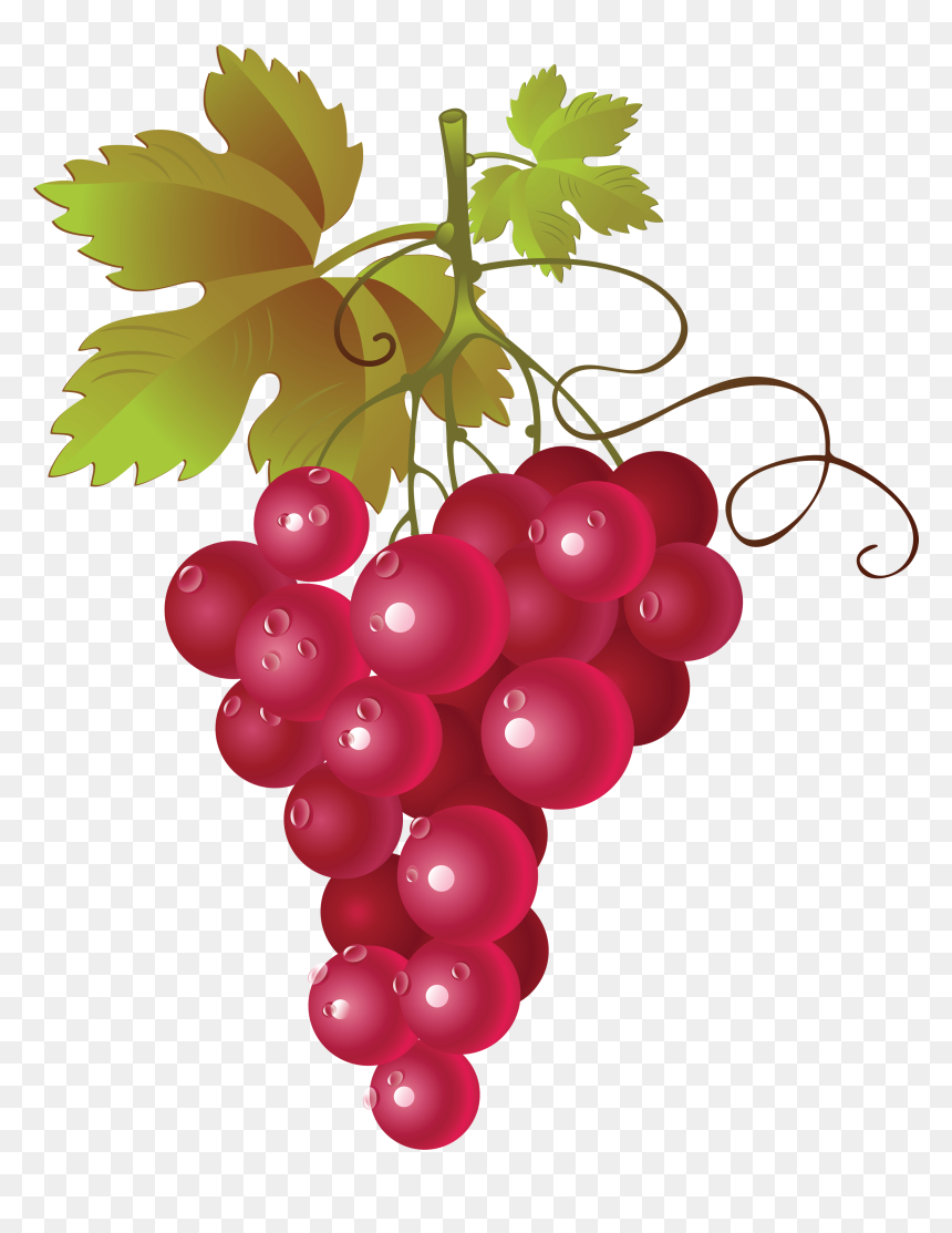 Red Grapes Png Clipart, Transparent Png - vine vector png