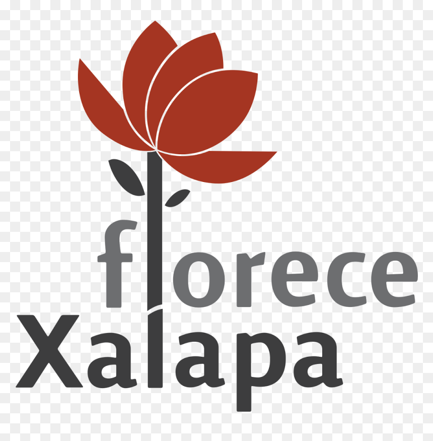 Logo Municipio De Xalapa, HD Png Download - recursos humanos png