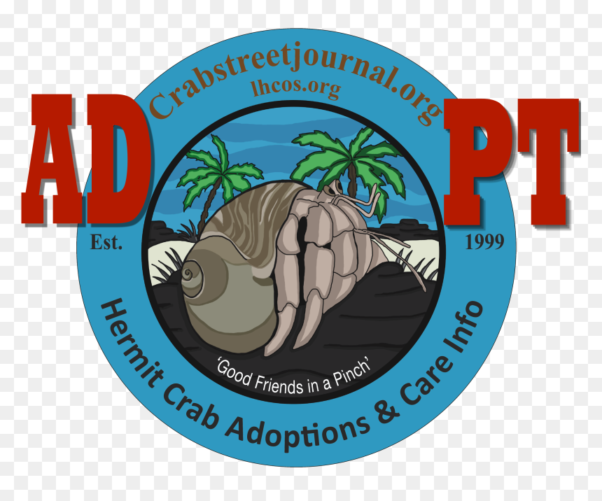 Clip Art, HD Png Download - hermit crab png