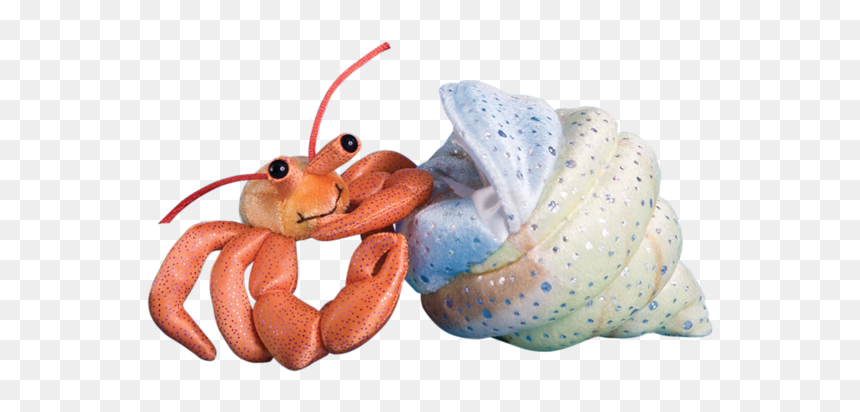 Shrimp, HD Png Download - hermit crab png
