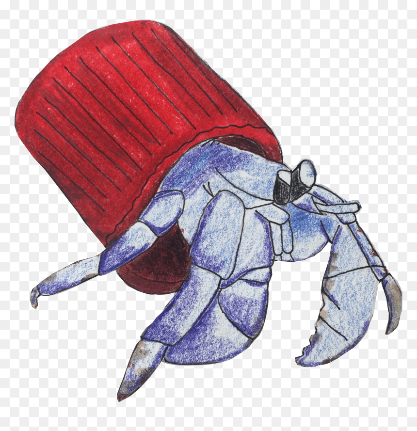 Illustration, HD Png Download - hermit crab png