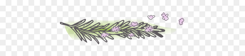 Christmas Tree, HD Png Download - lavender sprig png