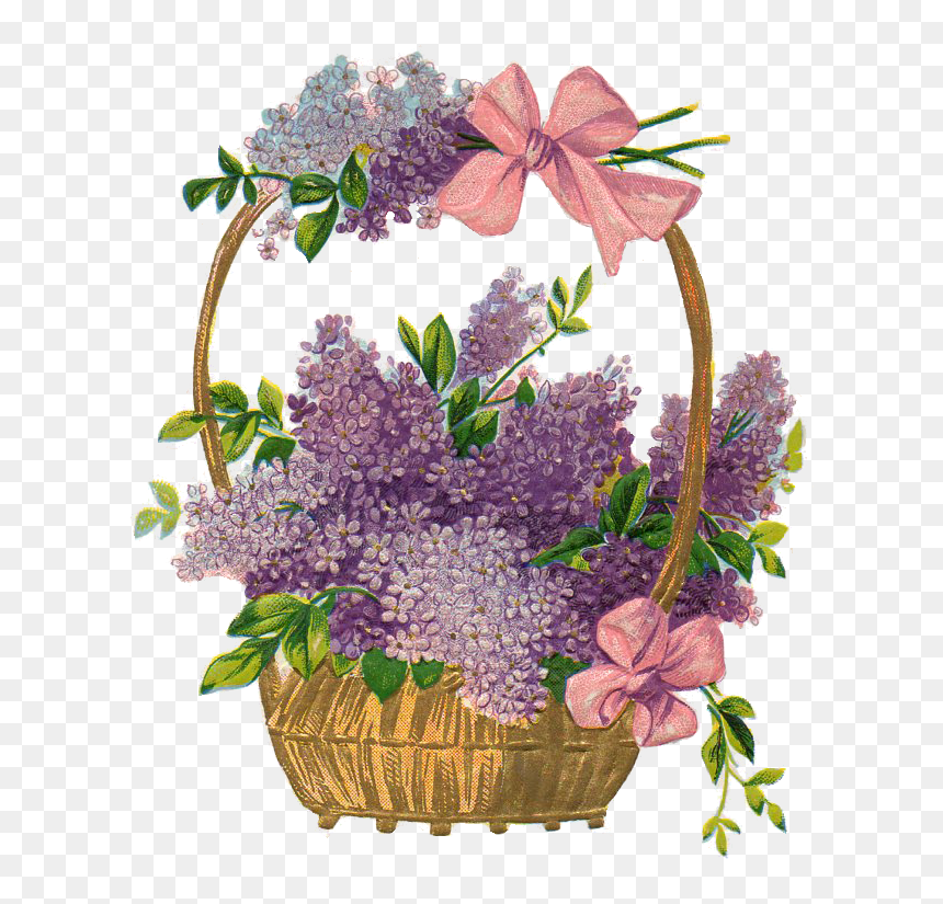 Png Vintage Easter Basket, Transparent Png - lavender sprig png