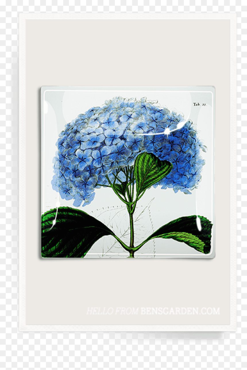 Tray, HD Png Download - lavender sprig png
