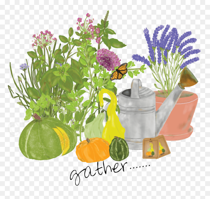 Squash, HD Png Download - lavender sprig png