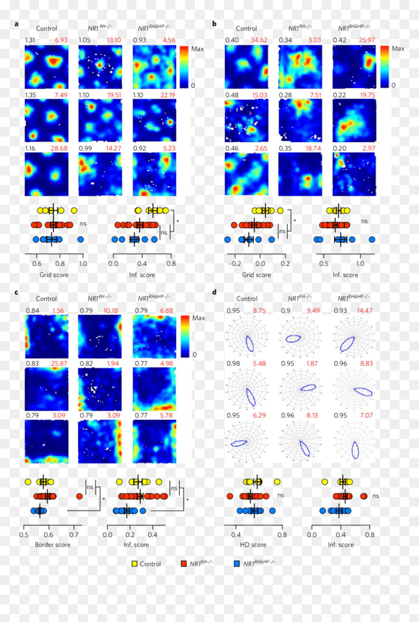 Alison Glass Trinket Quilt, HD Png Download - top border png