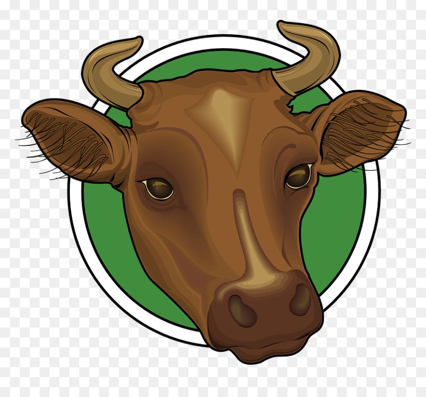 Cabeza De Vaca Png, Transparent Png - cuernos png