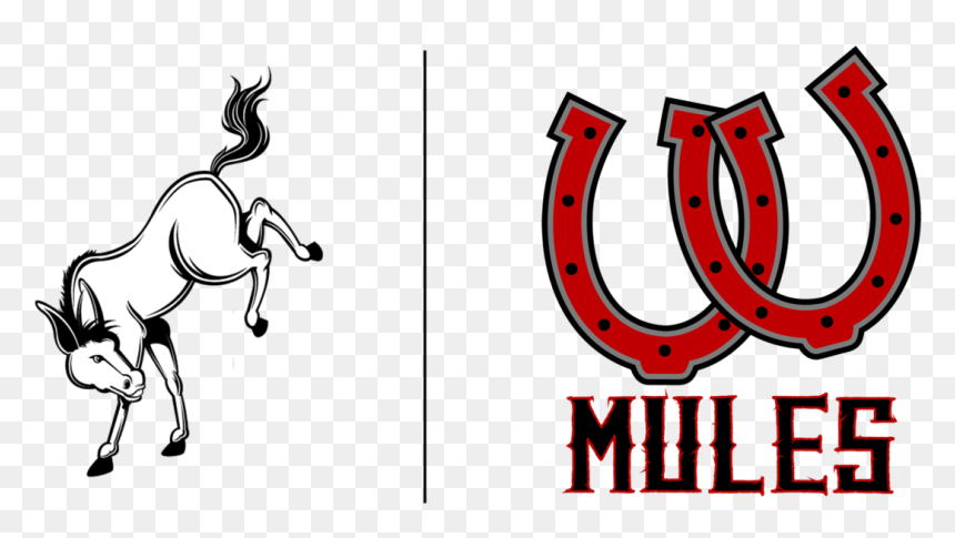 Wahkiakum Mules, HD Png Download - mascot png