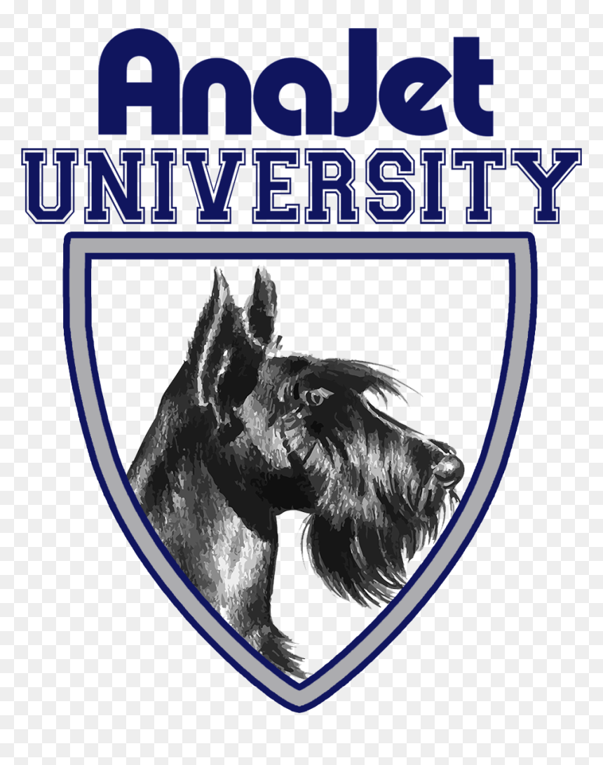 Poster, HD Png Download - mascot png