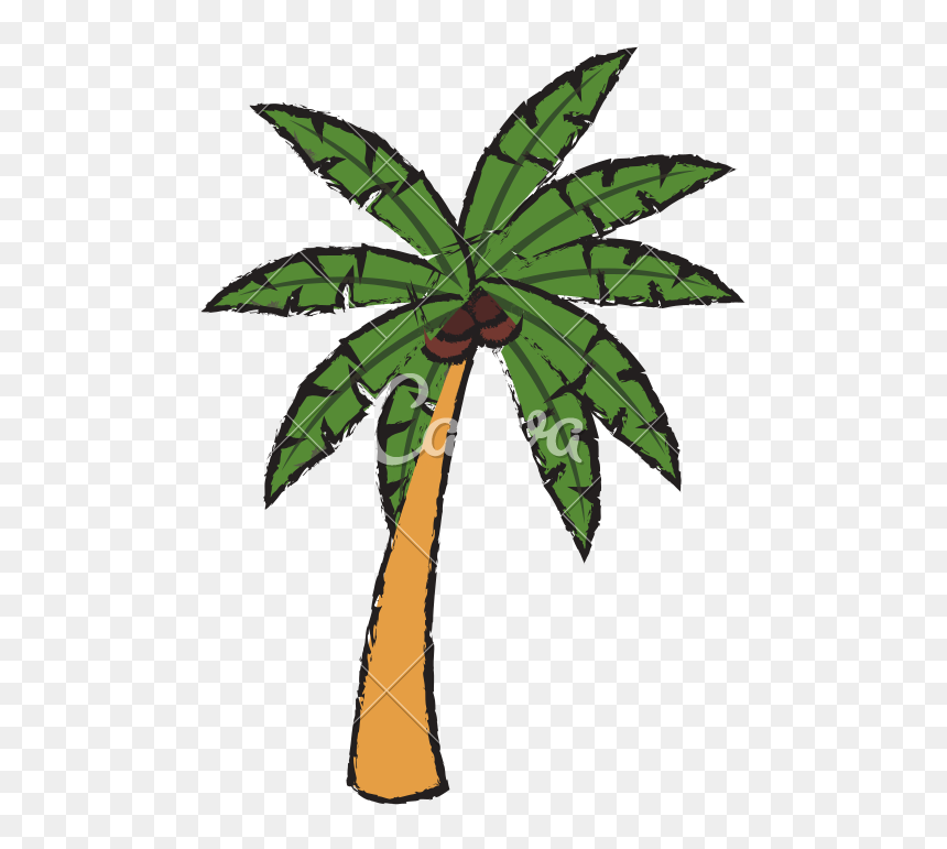 Illustration, HD Png Download - palm tree outline png