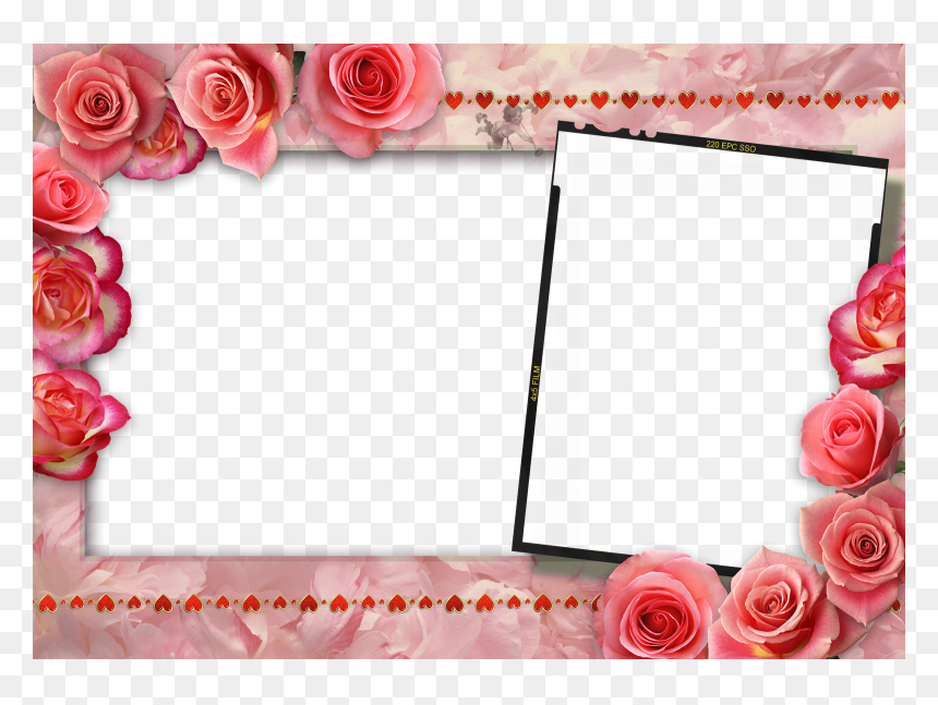 Chi Lin Nunnery, HD Png Download - imagenes png gratis