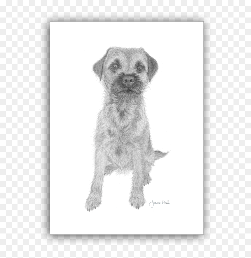 Border Terrier, HD Png Download - christmas card border png
