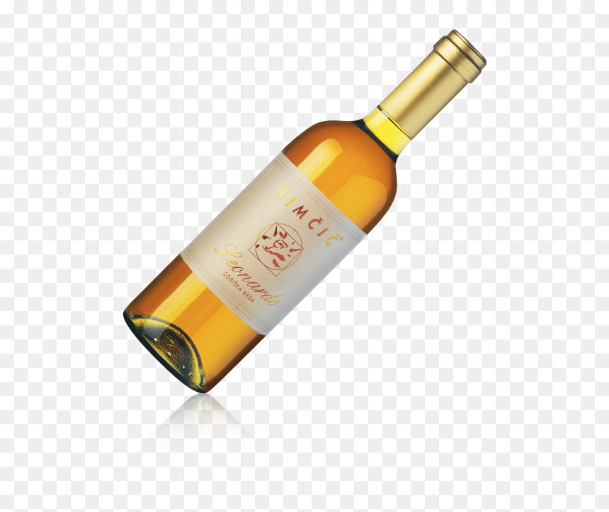 Leonardo Marjan Simčič, HD Png Download - leonardo png
