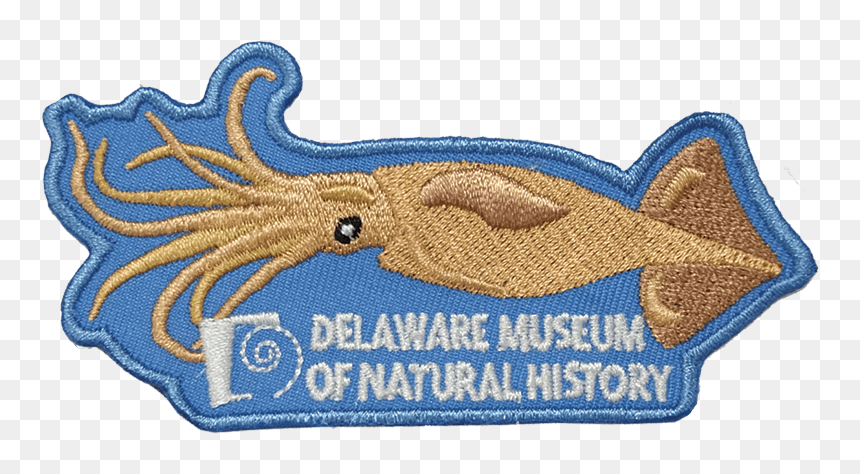 Label, HD Png Download - webelos png