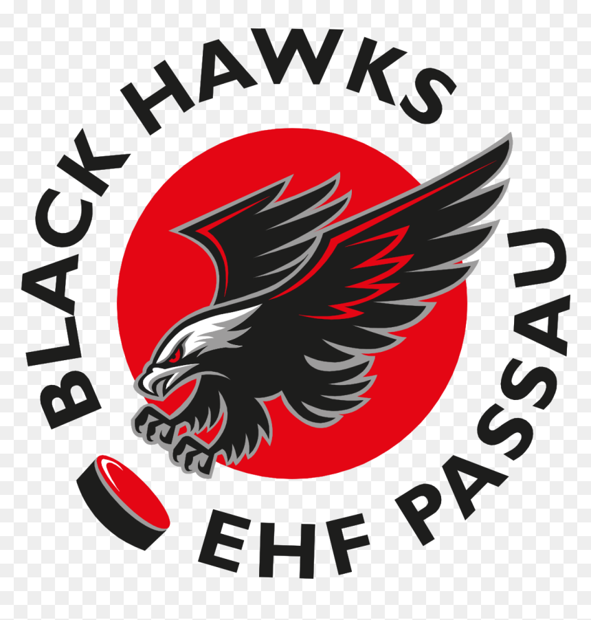 East Union Middle School, HD Png Download - hawks png