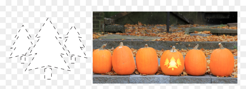 Jack-o'-lantern, HD Png Download - carved pumpkin png