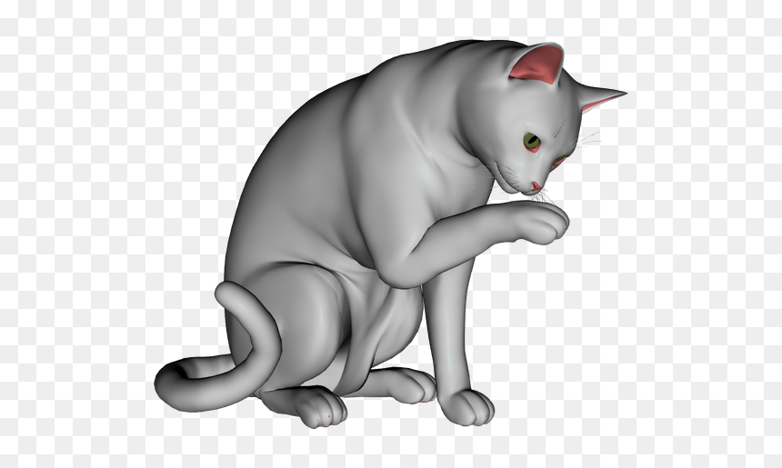 British Shorthair, HD Png Download - bubble overlay png