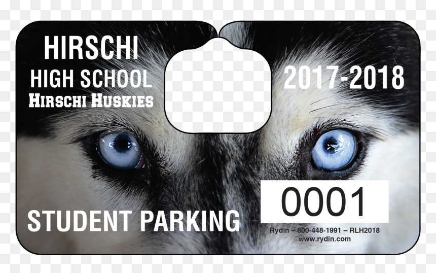 Companion Dog, HD Png Download - high eyes png