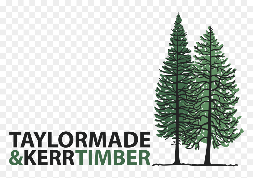 Christmas Tree, HD Png Download - taylormade logo png