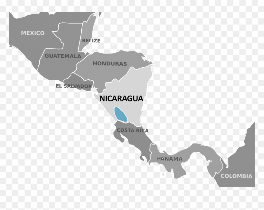 Honduran Small Eared Shrew, HD Png Download - mexico map outline png