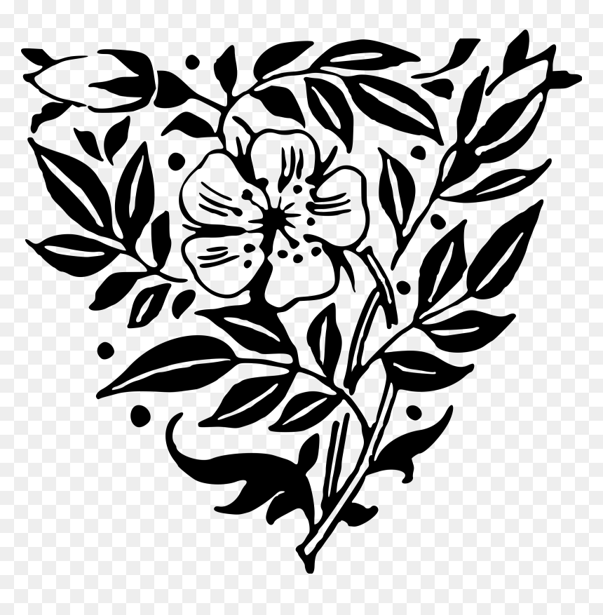 Common Peony, HD Png Download - peony outline png