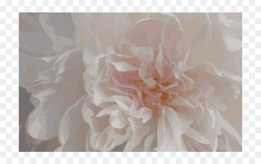 Dahlia, HD Png Download - peony outline png