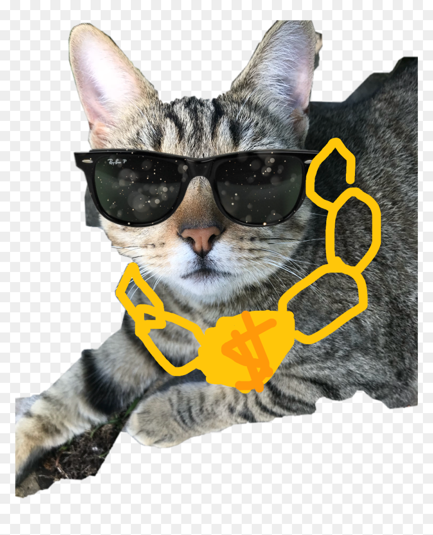 Portable Network Graphics, HD Png Download - mlg glasses png