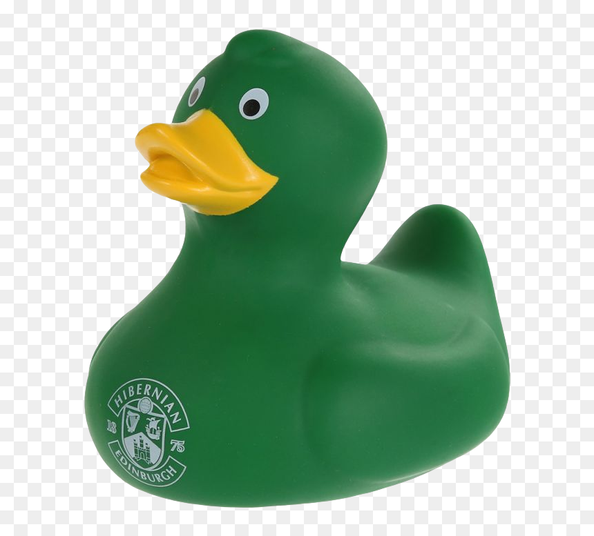 Mallard, HD Png Download - duck png