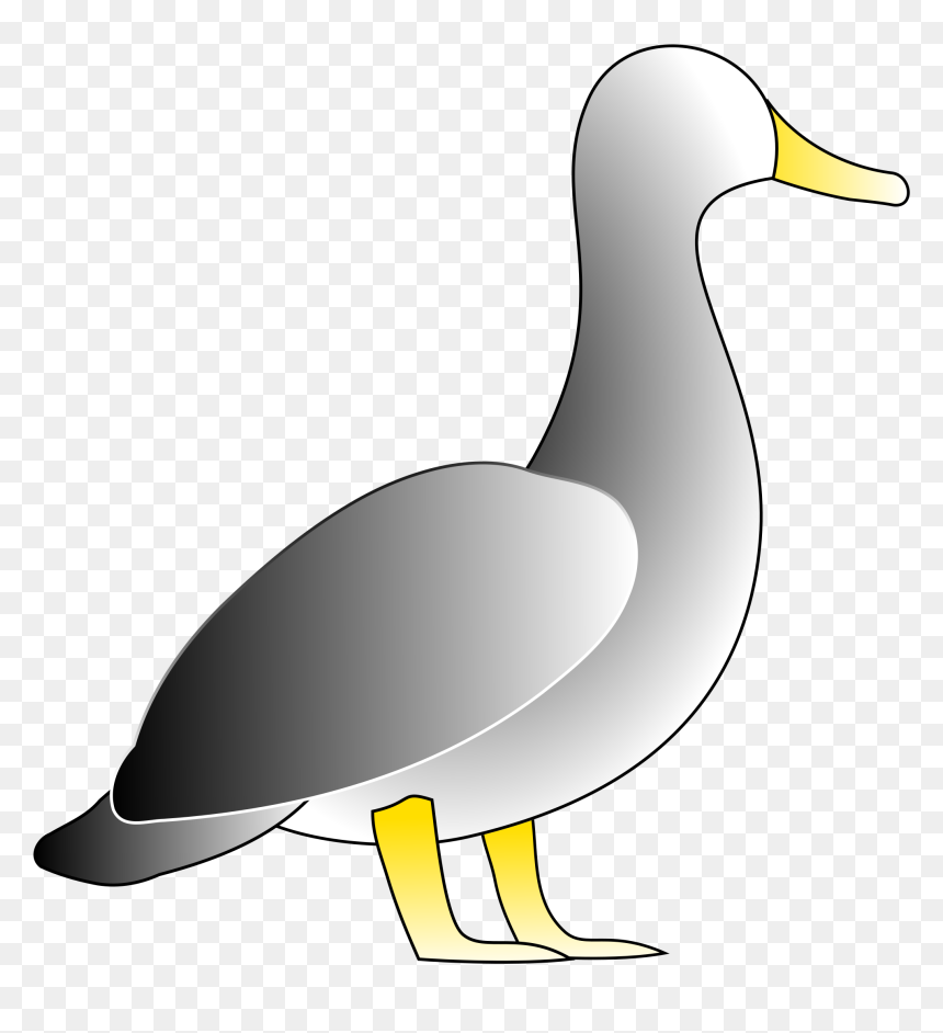 Duck Clip Art, HD Png Download - duck png