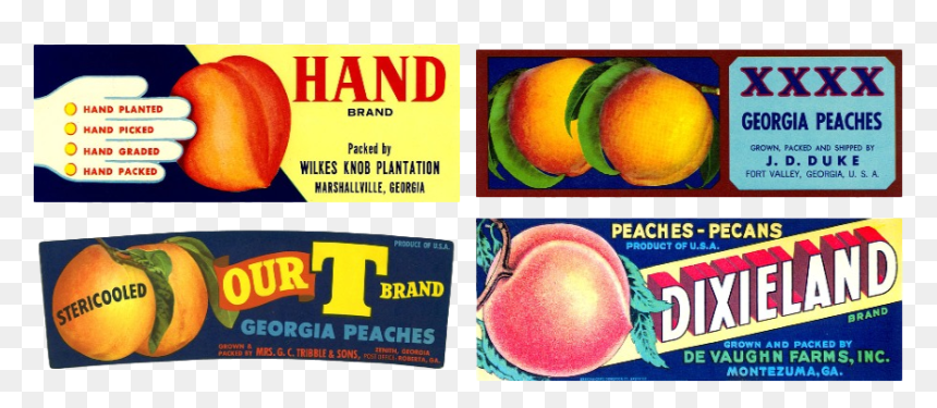 Peach, HD Png Download - peach png