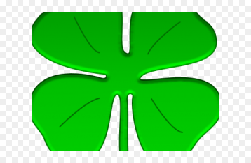 4 Leaf Clover, HD Png Download - shamrock png