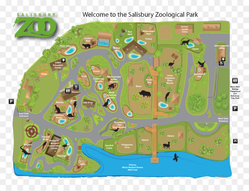 Salisbury Zoo Map, HD Png Download - map png