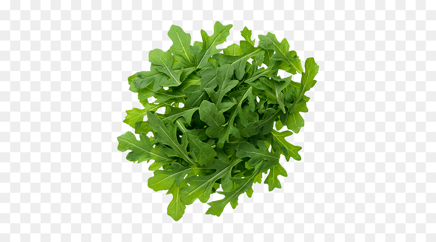 Arugula Png, Transparent Png - png pictures