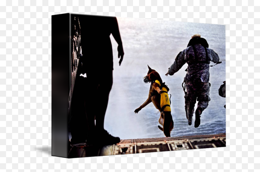 Combat Dogs In Action, HD Png Download - soldier png
