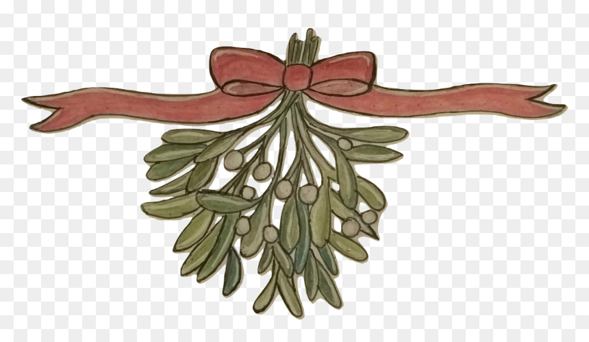 Illustration, HD Png Download - mistletoe png