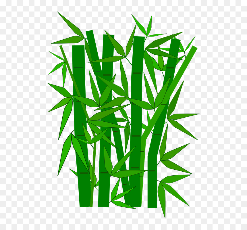 Bamboo Clipart, HD Png Download - tre png