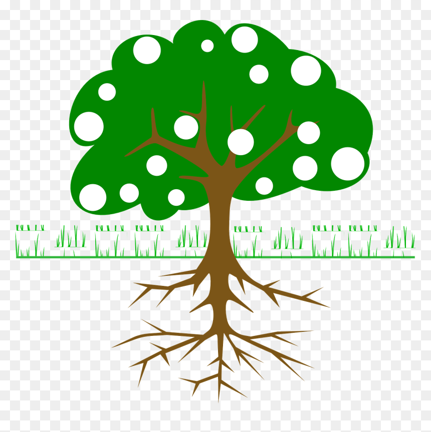 Cartoon Tree With Fruit, HD Png Download - tre png