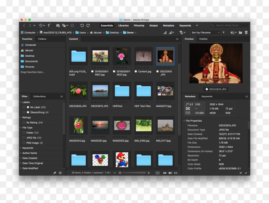 Adobe Bridge 2019, HD Png Download - reset icon png