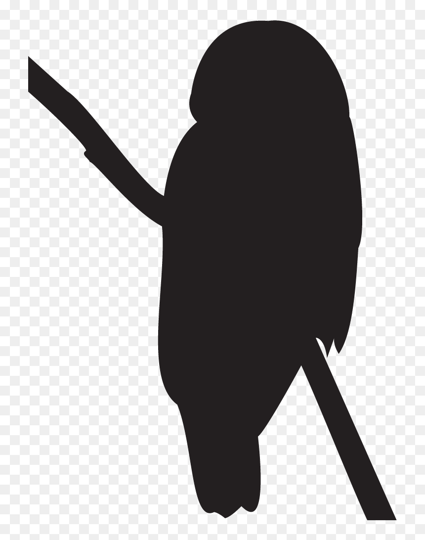 Great Gray Owl - Northern Spotted Owl Silhouette, HD Png Download - owl icon png