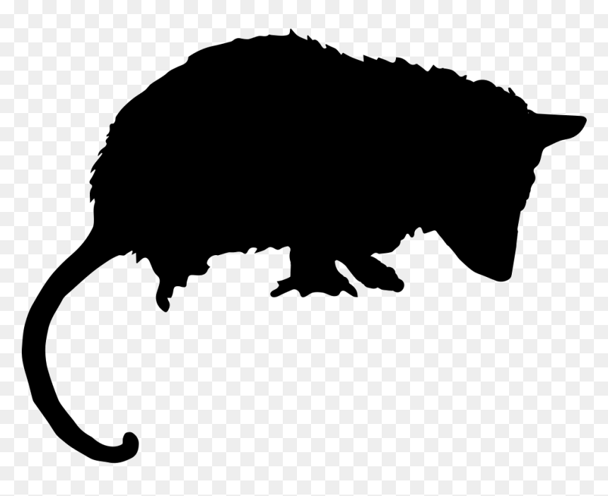 Opossum Silhouette, HD Png Download - animal silhouette png