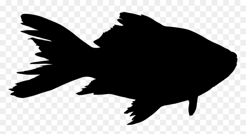 Fish Silhouette, HD Png Download - animal silhouette png