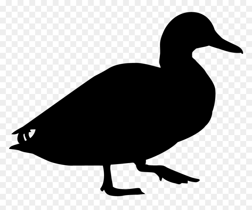 Dabbling Duck Silhouette, HD Png Download - animal silhouette png