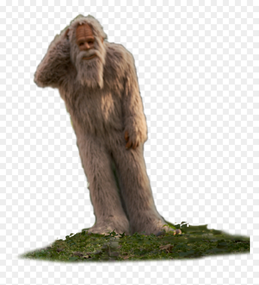 Rhesus Macaque, HD Png Download - hbo go png
