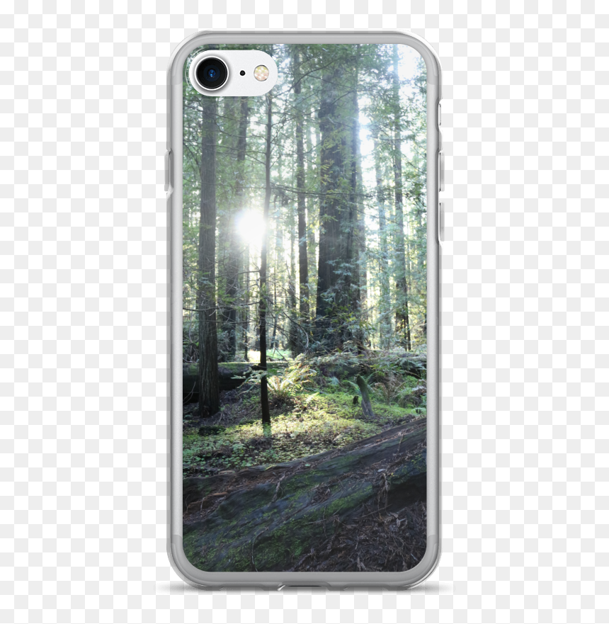 Mobile Phone Case, HD Png Download - iphone7 png