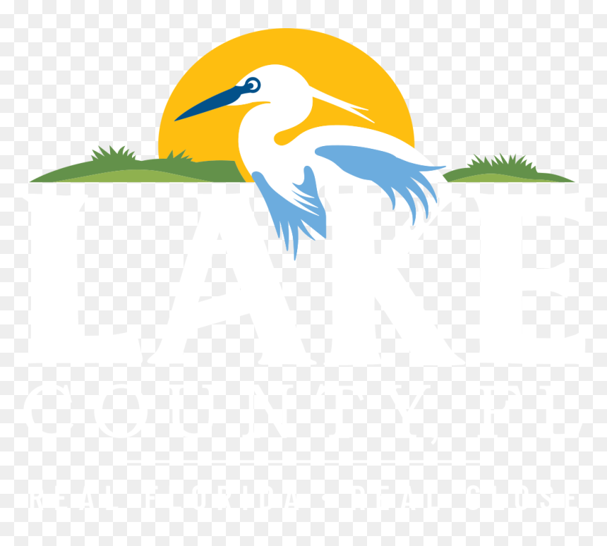 Egret, HD Png Download - sinkhole png