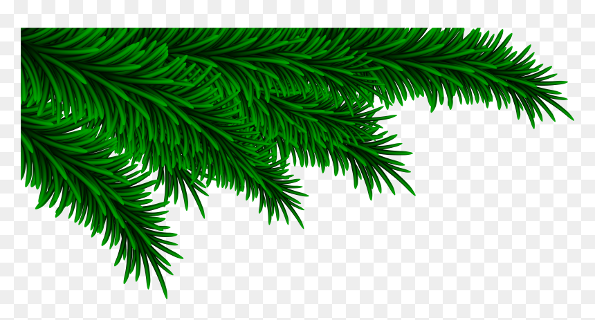 Christmas Pine Branch Png, Transparent Png - branch clipart png